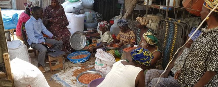 75 market women at Serrekunda Sandika join GDC